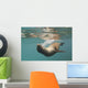A Sea Lion Swimming Under The Water's Surface Wall Mural