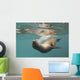 A Sea Lion Swimming Under The Water's Surface Wall Mural