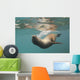 A Sea Lion Swimming Under The Water's Surface Wall Mural