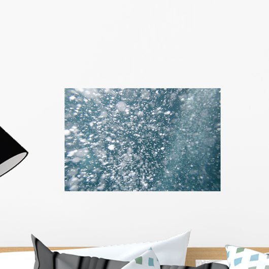 Bubbles Underwater Wall Mural