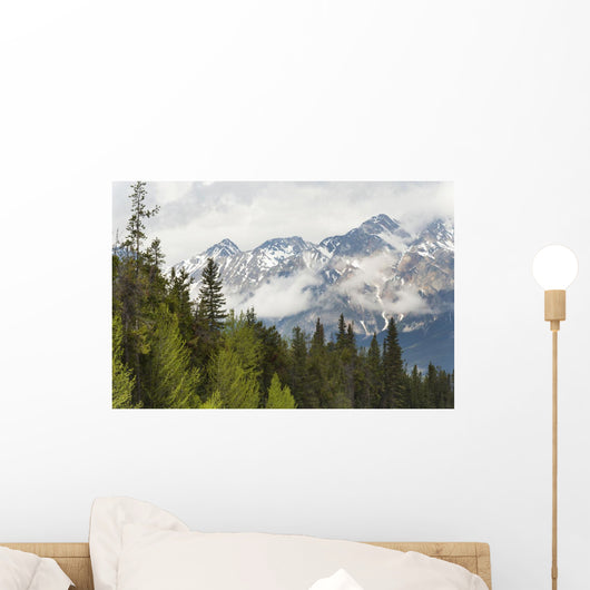 A Forest And The Rocky Mountains Wall Mural