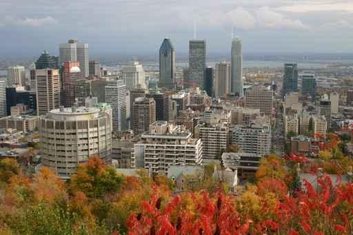 Automne Montreal Wall Decal