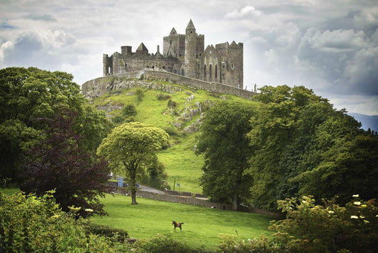 Rock Of Cashel Wall Mural