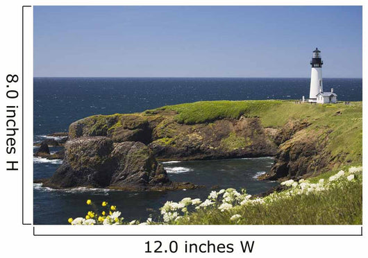White Lighthouse On The Ocean With Blue Sky And Wildflowers Wall Mural
