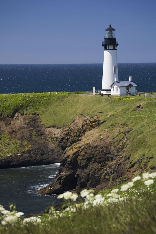 White Lighthouse On The Ocean With Blue Sky And Wildflowers Wall Mural