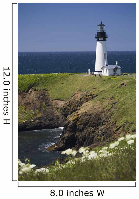 White Lighthouse On The Ocean With Blue Sky And Wildflowers Wall Mural