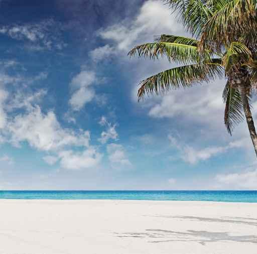Beautiful Beach Miami Florida Wall Decal
