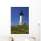 White Lighthouse With A Blue Sky And Wildflowers Wall Mural
