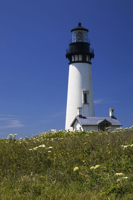 White Lighthouse With A Blue Sky And Wildflowers Wall Mural