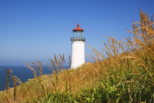 North Head Lighthouse Wall Mural