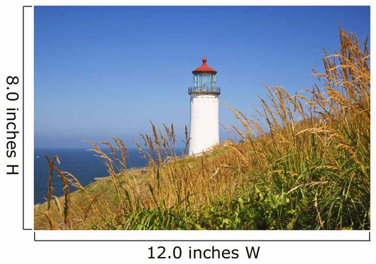 North Head Lighthouse Wall Mural