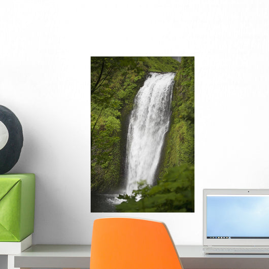 Lower Section Of Multnomah Falls Wall Mural