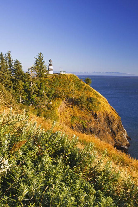 Cape Disappointment Lighthouse Wall Mural