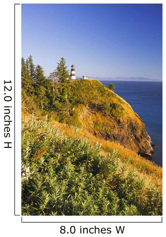 Cape Disappointment Lighthouse Wall Mural