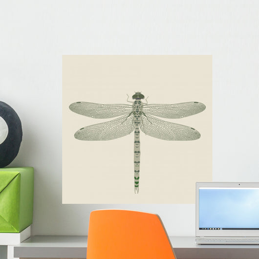 dragonfly on a neutral background Wall Mural
