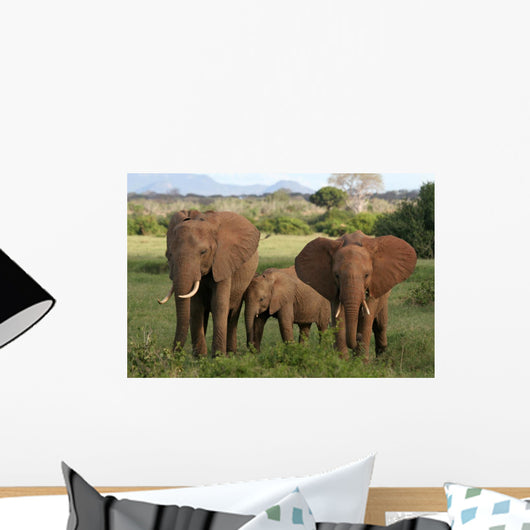 African Elephants Wall Mural