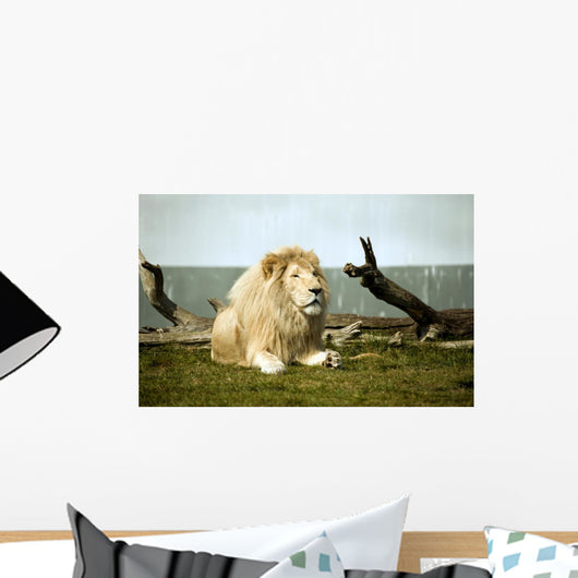 White Lion