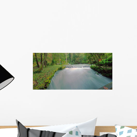 fast river with long exposure Wall Mural