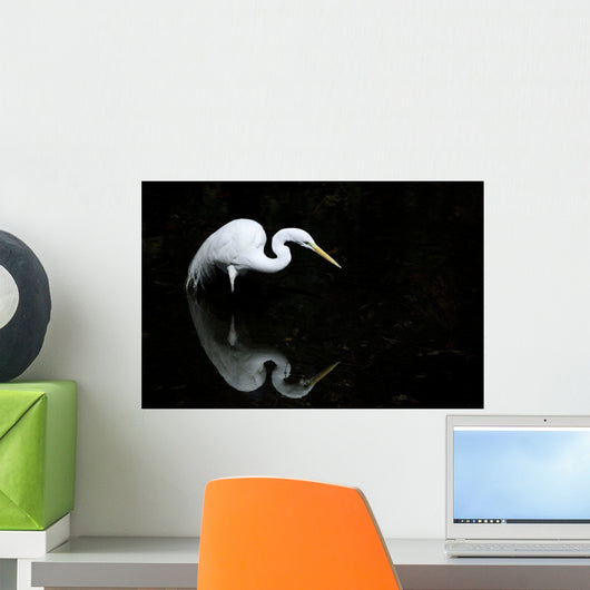Florida, Everglades, Great Egret Hunting In Shallow Water Wall Mural