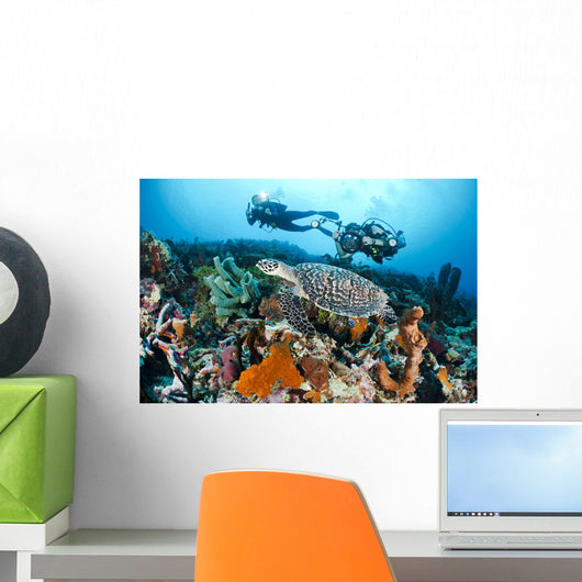 Indonesia, Divers Photographing A Hawksbill Turtle On A Reef Wall Mural