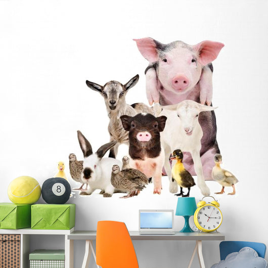 Cute Baby Farm Animals Wall Decal
