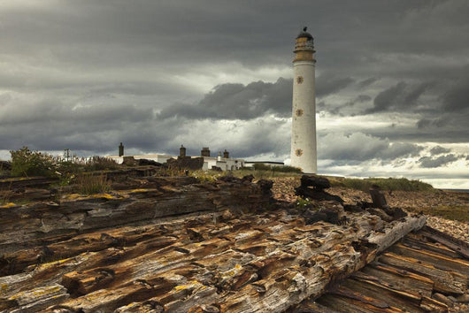 A Lighthouse And Piles Of Logs On The Shore Wall Mural
