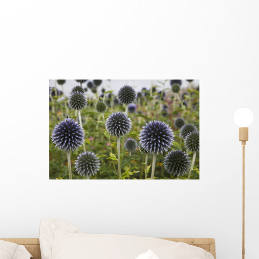 Wildflowers With Purple Heads Wall Mural