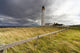 Long Grass Blowing In The Wind Beside Barns Ness Lighthouse Wall Mural