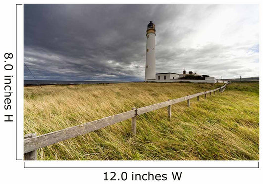 Long Grass Blowing In The Wind Beside Barns Ness Lighthouse Wall Mural