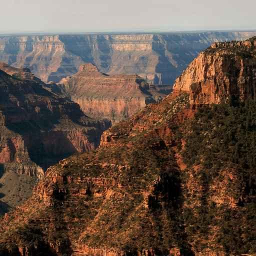 Grand Canyon Wall Decal
