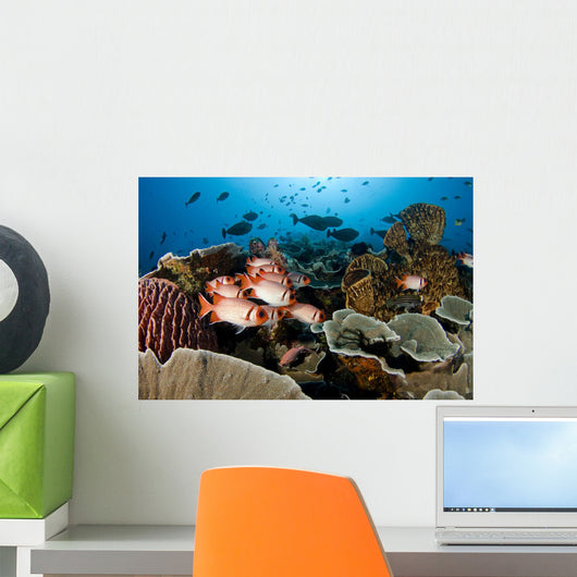 Indonesia, School Of Shoulderbar Soldierfish Wall Mural