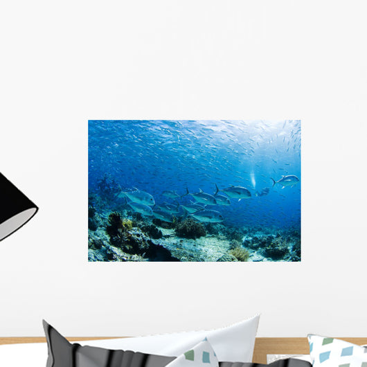 Schooling Bigeye Jack Fish Wall Mural