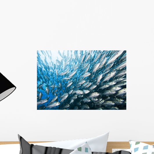 Schooling Bigeye Jack Fish Wall Mural
