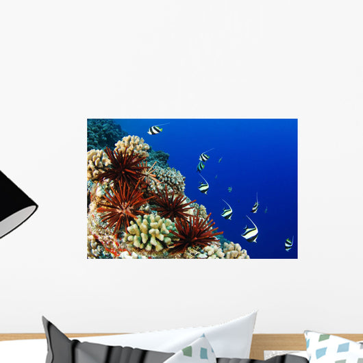 USA, Typical Hawaiian Reef Scene Wall Mural