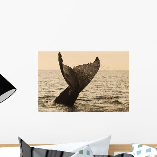 USA, Hawaii Islands, Humpback Whale Fluking Its Tail In Golden Sunset Wall Mural