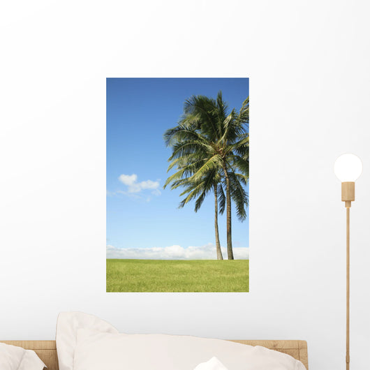 Hawaii, Oahu, Landscape Of Coconut Palm Tree On Grass Wall Mural