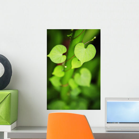 Hawaii, Extreme Close-Up Of Sunlit Green Leaves Wall Mural