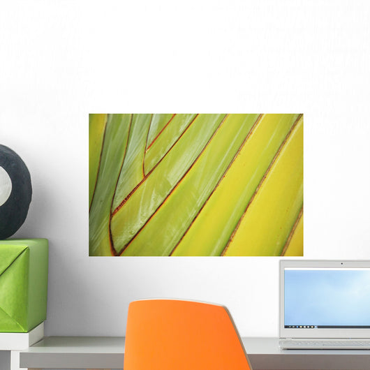 Graphic Detail Of Bird Of Paradise Stem Wall Mural