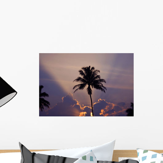 Hawaii, Maui, Silhouette Of A Palm Tree At Sunset Wall Mural