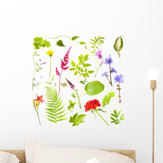 Plants White