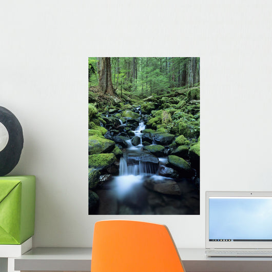 USA, Olympic National Park Wall Mural