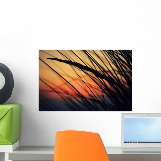 California, Colorful Sunset Through Beach Grass Wall Mural
