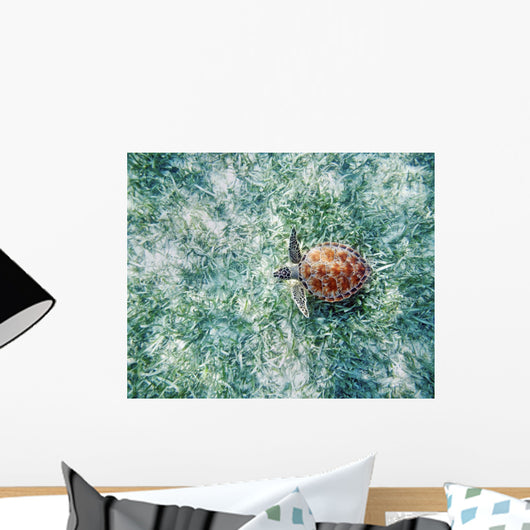 Hawaii, Green Sea Turtle An Endangered Species Wall Mural