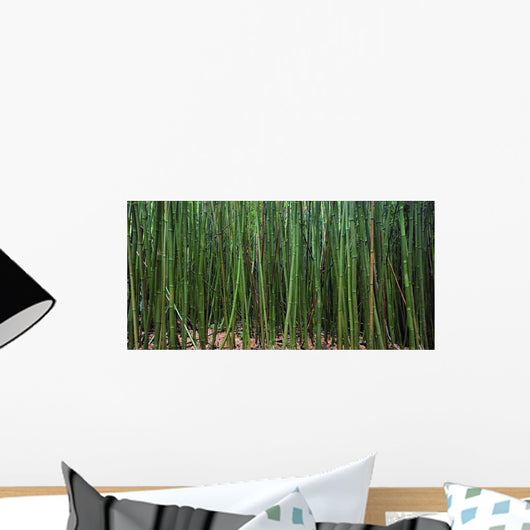 Hawaii, Maui, Bamboo Forest Wall Mural