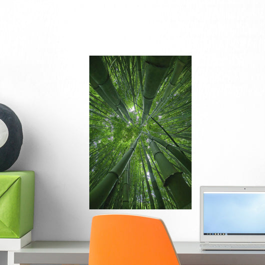 Hawaii, Maui, Bamboo Forest Wall Mural