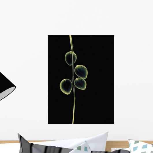 Sheer Representation Of Flowers And Stem On Black Background Wall Mural