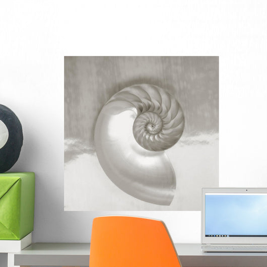 Pearl Nautilus Shell Half Showing Chambers And Spiral Wall Mural