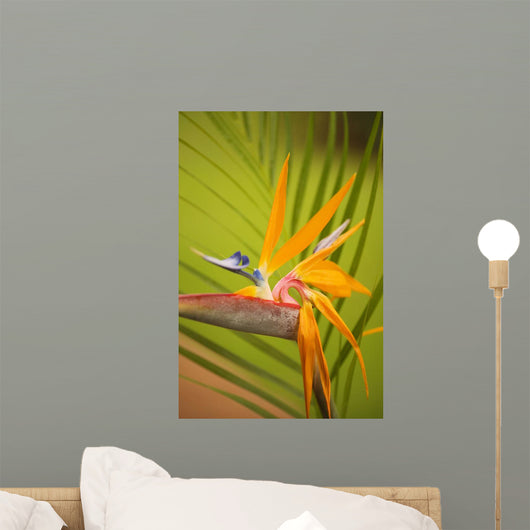 Hawaii, Maui, Bird Of Paradise Blossom Wall Mural