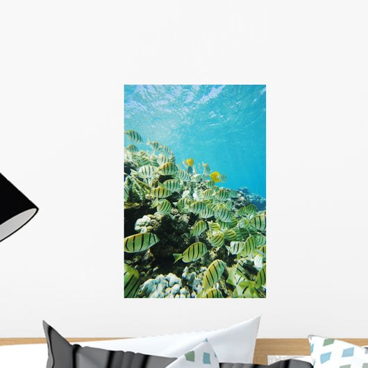 USA, Hawaii Islands, Maui, Ahihi Kinau Natural Area Reserve Wall Mural