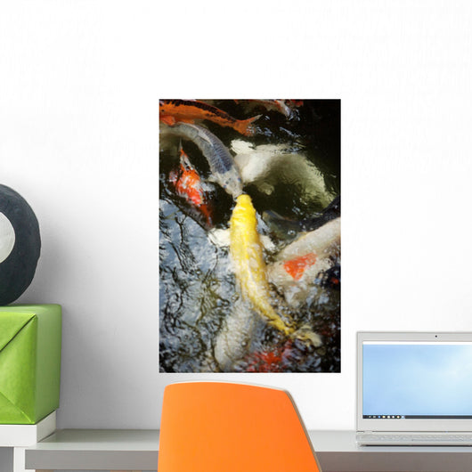 Japan, Tokyo, Koi In Pond Wall Mural